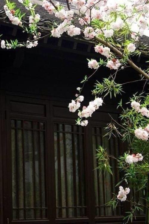 与春天有关的散文,散文感受春天