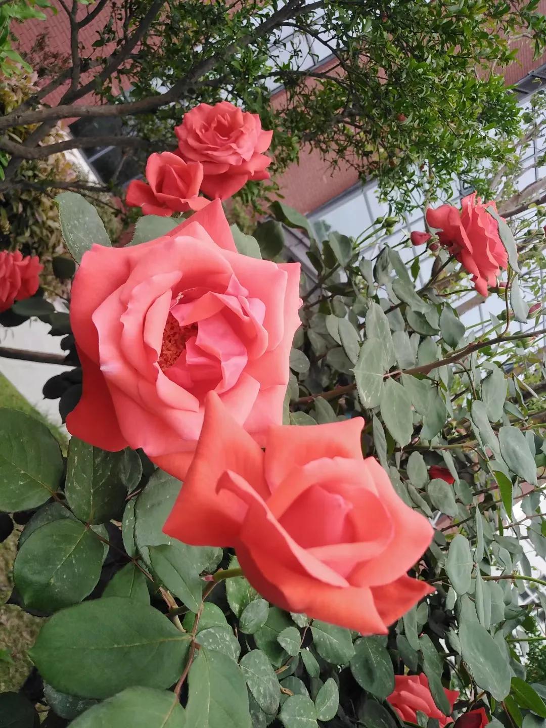 创业投资税收优惠政策的落实,创业项目投资税收优惠