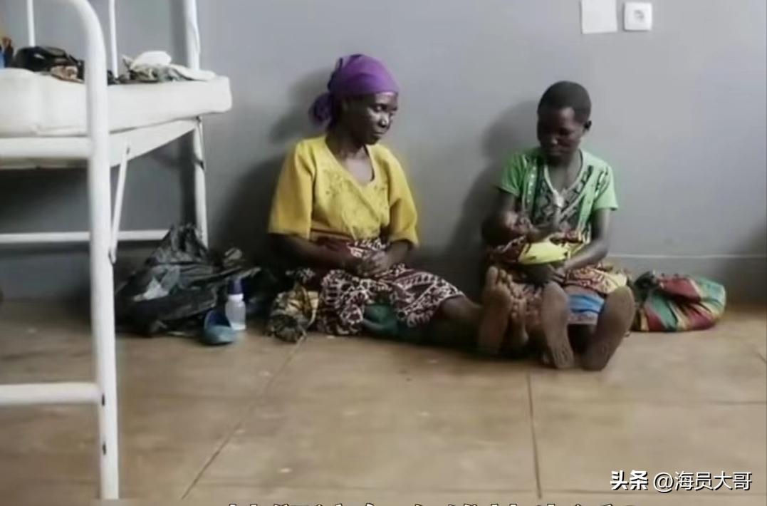 满载2亿斤巴西大豆还能回国吗,两亿斤大豆运回国货轮运输费