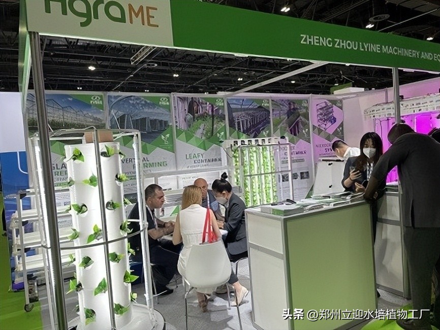 卡塔尔水果种植,卡塔尔水果蔬菜种植