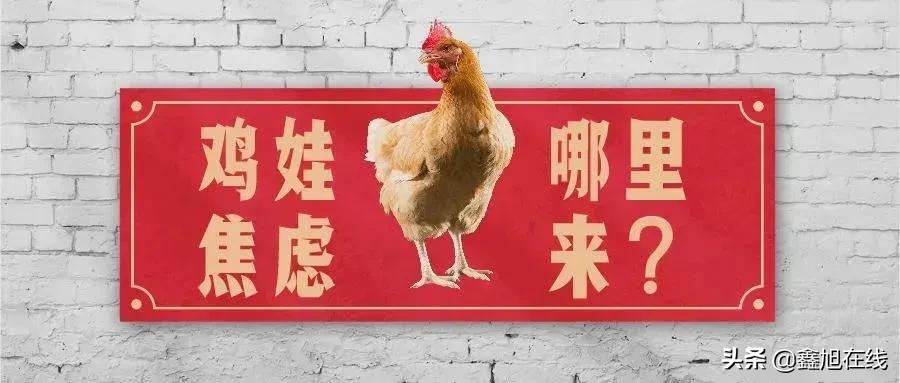 发布2021十大网络流行语,2021年网络十大流行语的特点