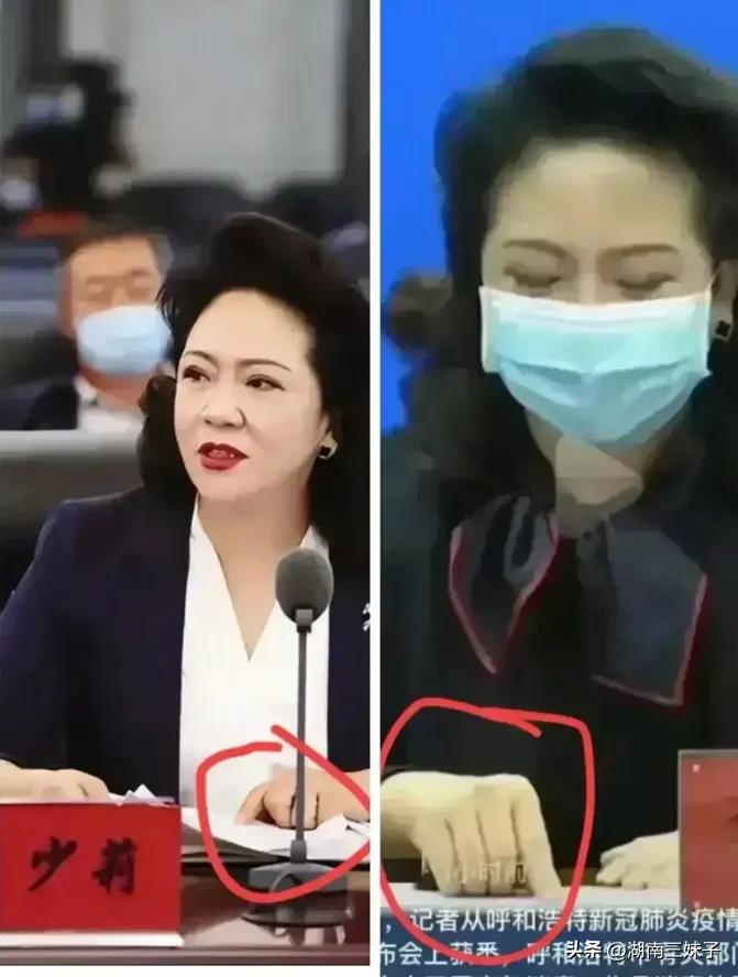 李少莉戴胸针照片,李少莉的胸针什么牌子