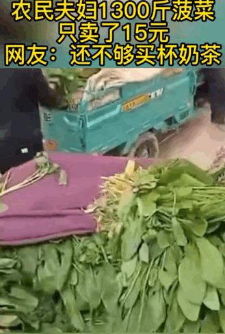 圈内人爆料的假恩爱夫妻,被骂最惨的一对秀恩爱夫妻