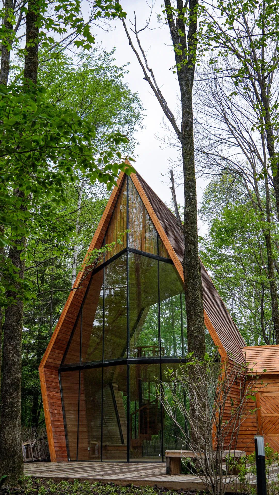 失控玩家2完整版,失控玩家游戏攻略