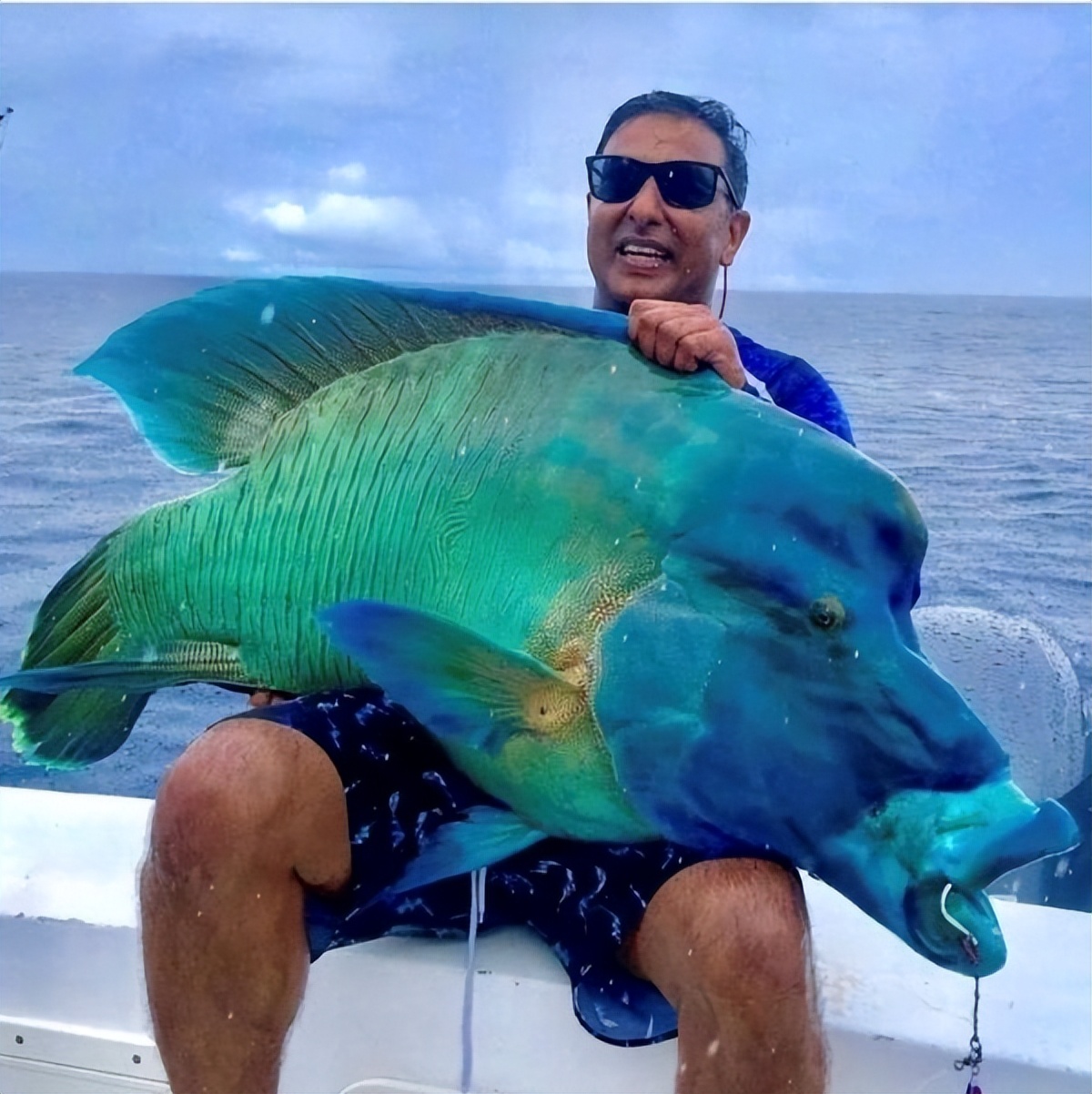 50个稀世珍宝,50个罕见的巨物让人惊叹