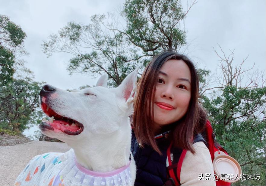 澳大利亚抢劫多吗,在澳洲被抢劫