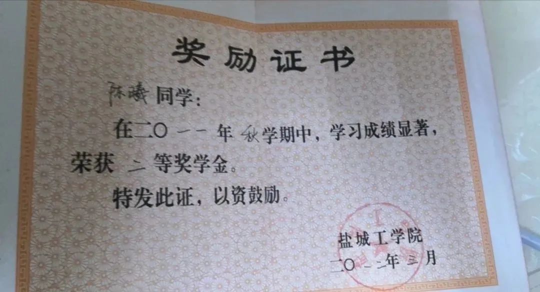 致三十周岁的宝贝儿子李淑华（江苏）《浪子情怀》诗歌集