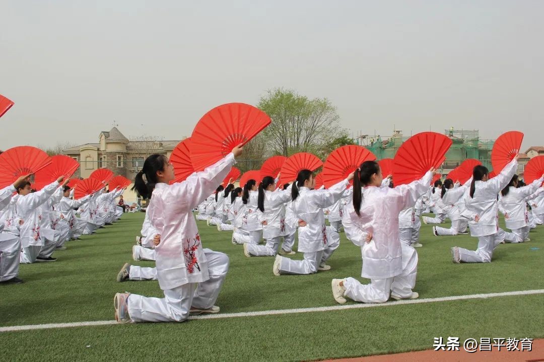赋能于师丨城区学区在行动!