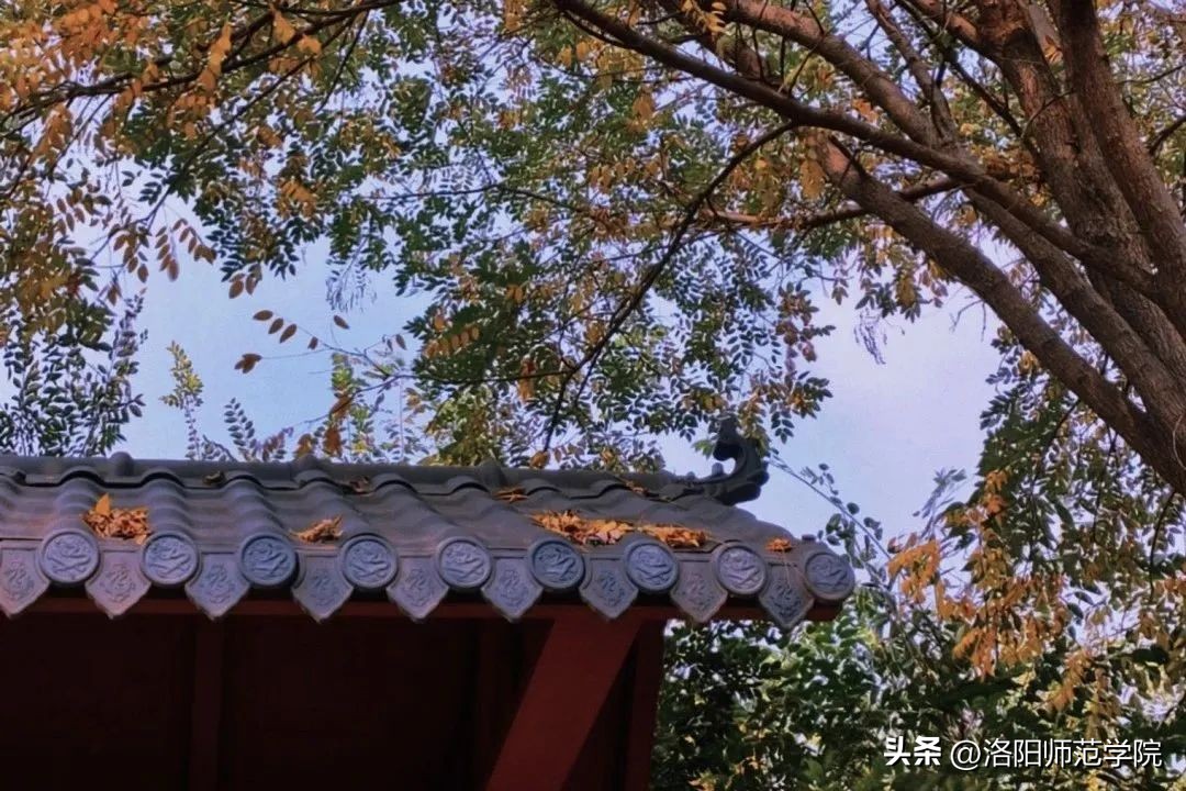 当洛师邂逅43种中国传统色……