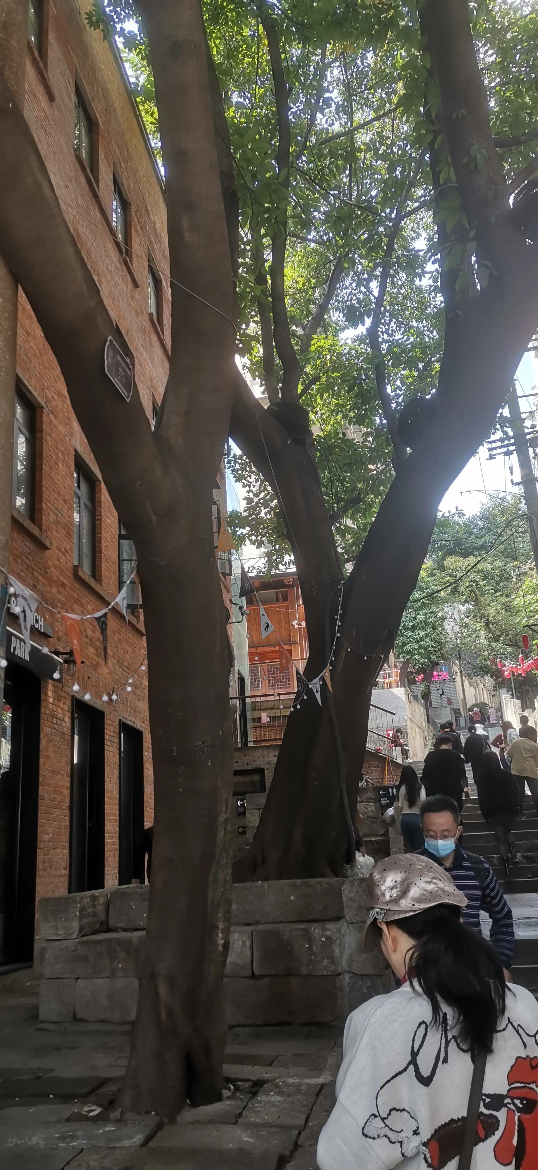 逛重庆车展,逛重庆