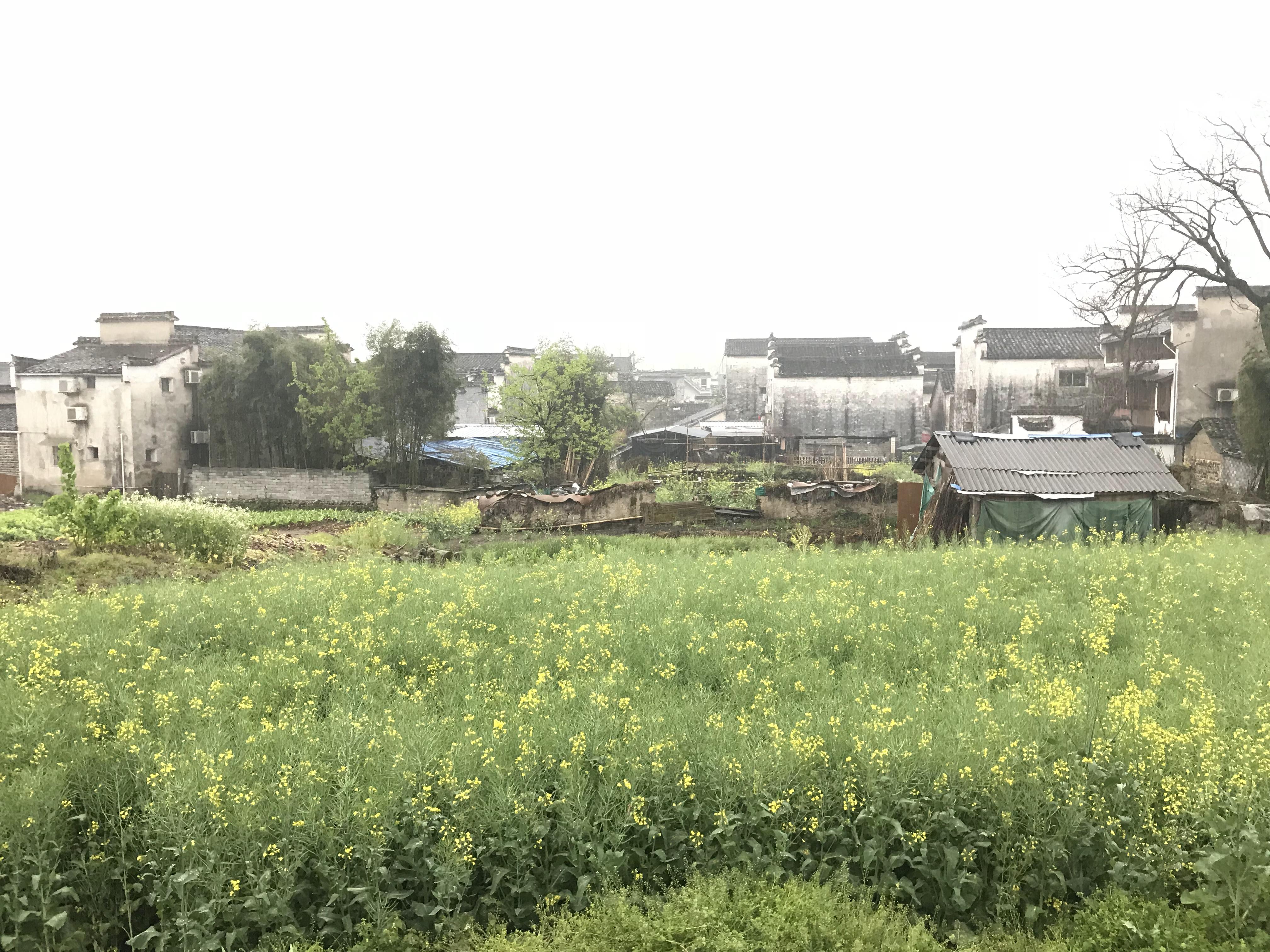 暑期江浙沪皖旅游攻略,苏浙沪清明假期旅游攻略