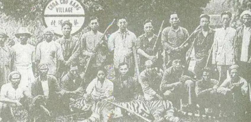 湖南奇人贺业武：一生杀死305只老虎，到死也不透露秘药配方