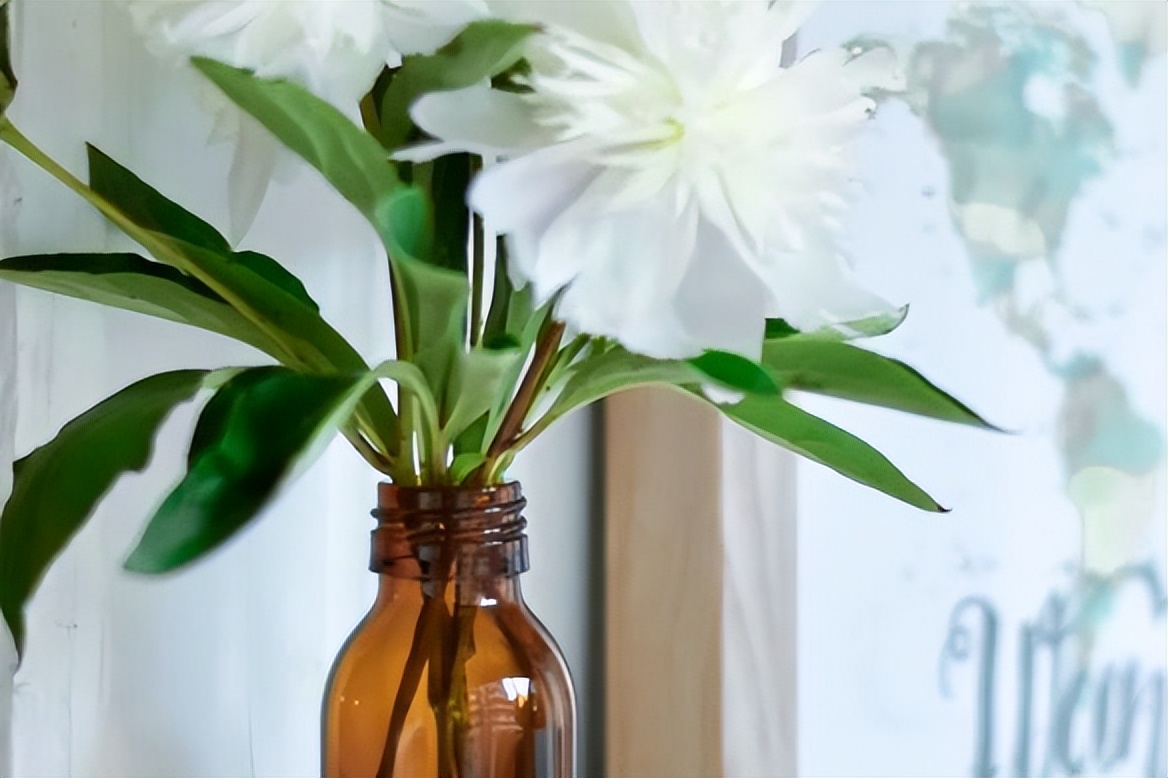 判断一个女人是否干净,看她身上的这三个地方就够了