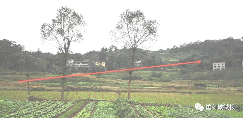 北碚南站规划招标,高铁北碚站最新进展