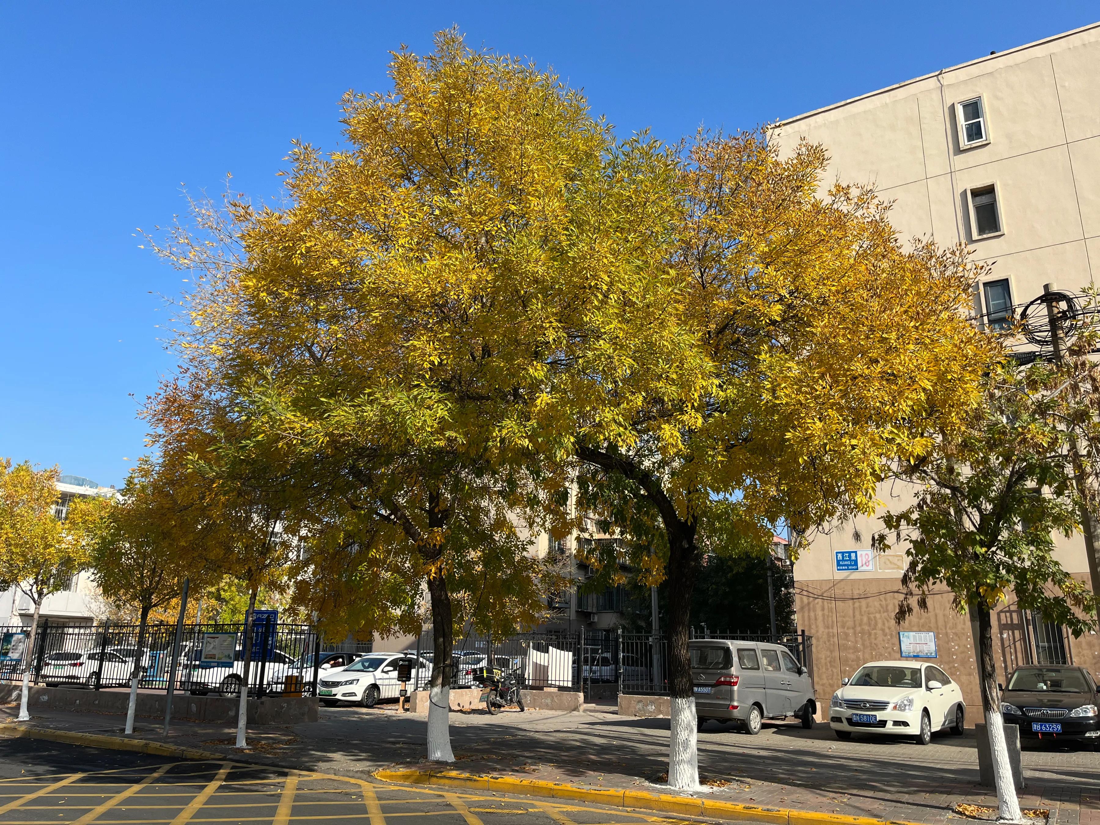 交通事故理赔证据清单,交通事故侵权证据要求