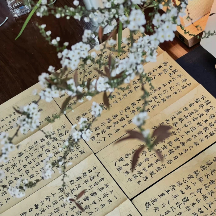 正清园网文小说项目靠谱吗 (正清园小说靠谱吗)