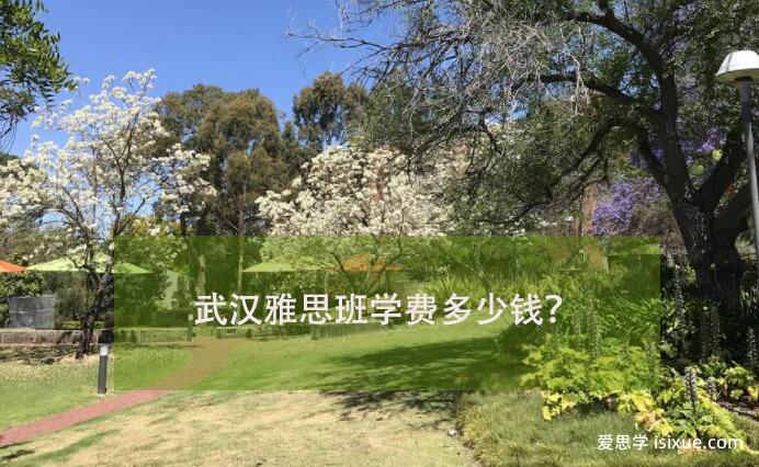 武汉学雅思哪家机构靠谱,武汉雅思班学费