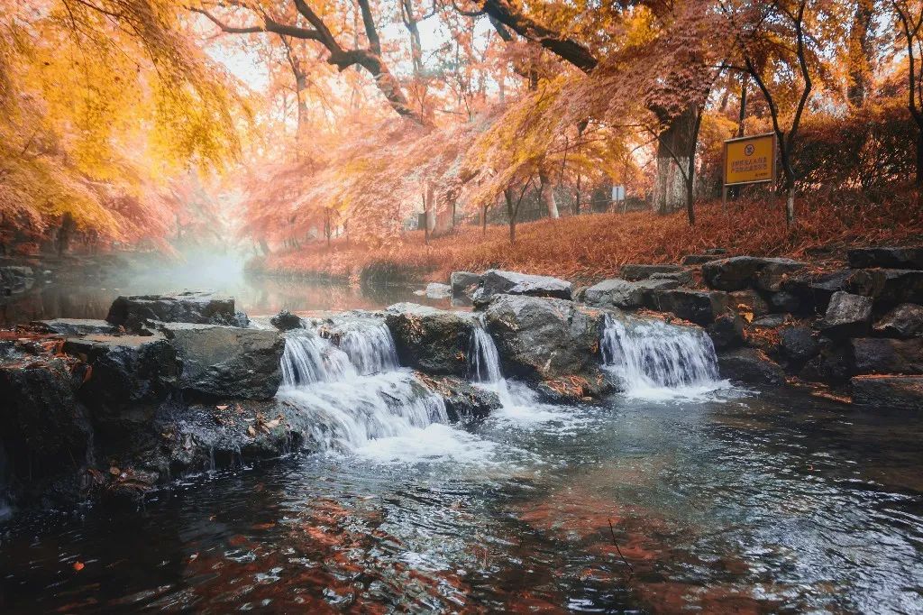 你几月出生就代表了你是什么命,几月出生的人是水命