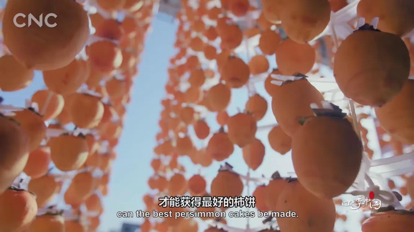 霜降有好柿，橘红色“灯笼”的变形记