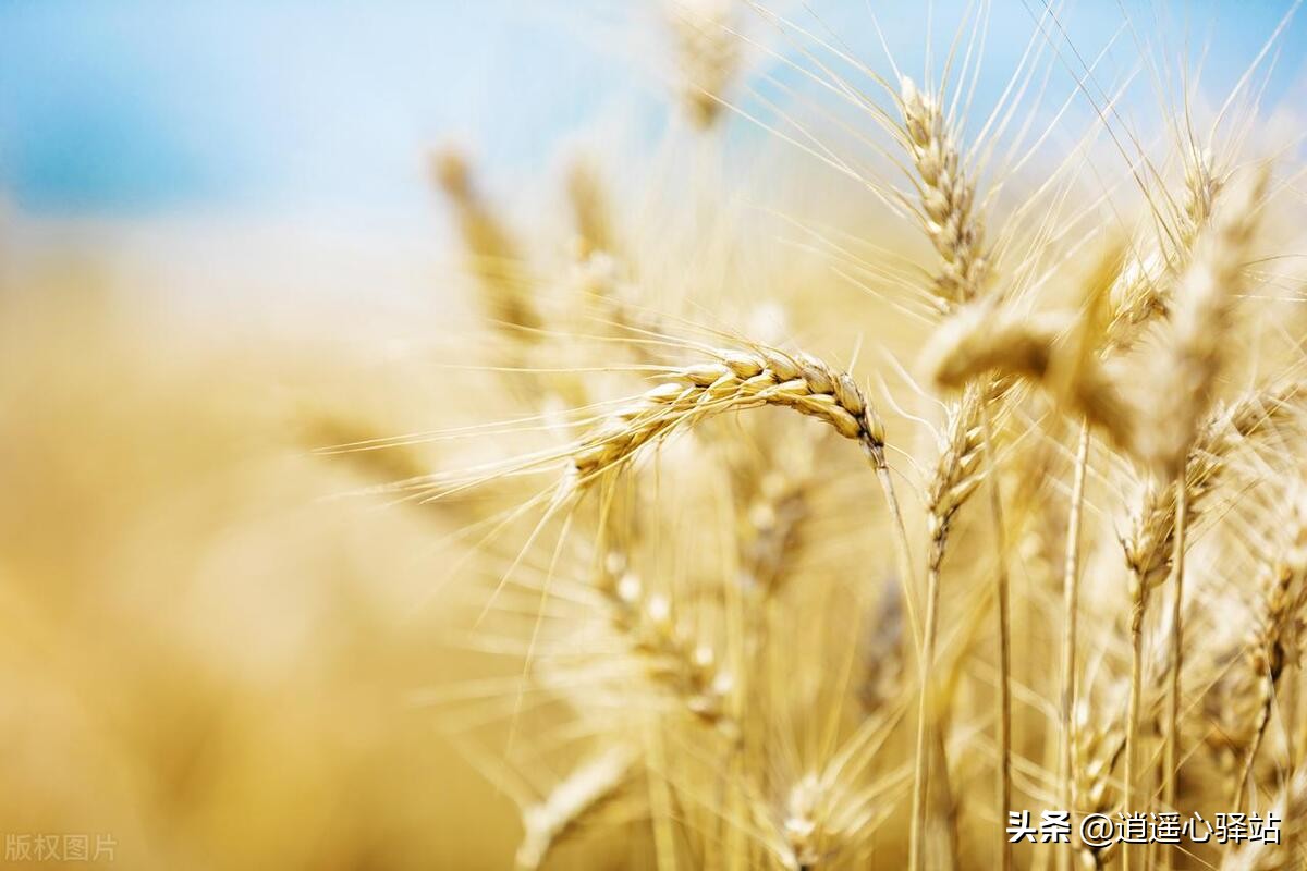 我们来到这个世界是为了看见太阳,我们来到这个世界是为了享受生活