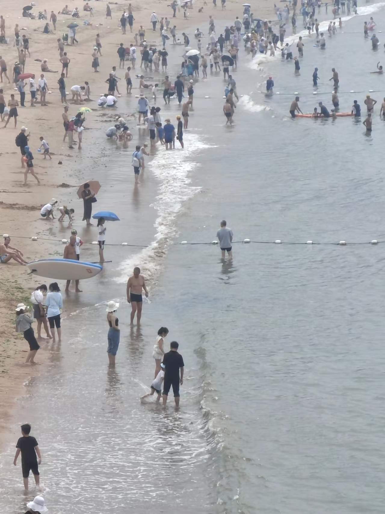 青岛今天到底有多冷,青岛今天的天气真热图片