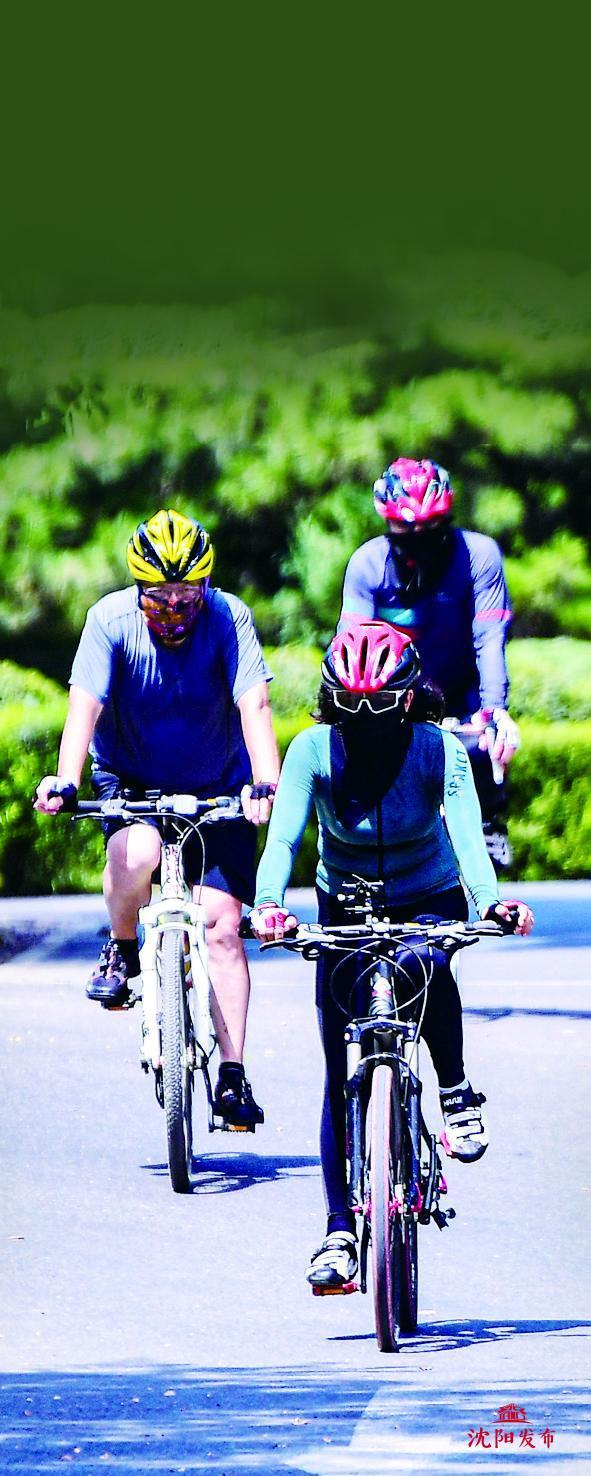 骑自行车一路看风景,骑单车看一路的风景