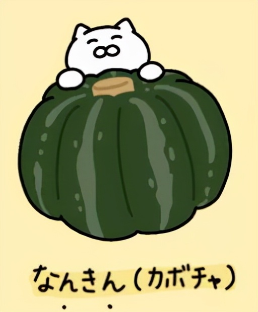 日本人在冬至会吃什么蔬菜,日本人冬至都吃什么