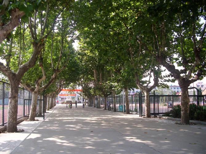 长得不帅的男老师,教师尴尬的地位