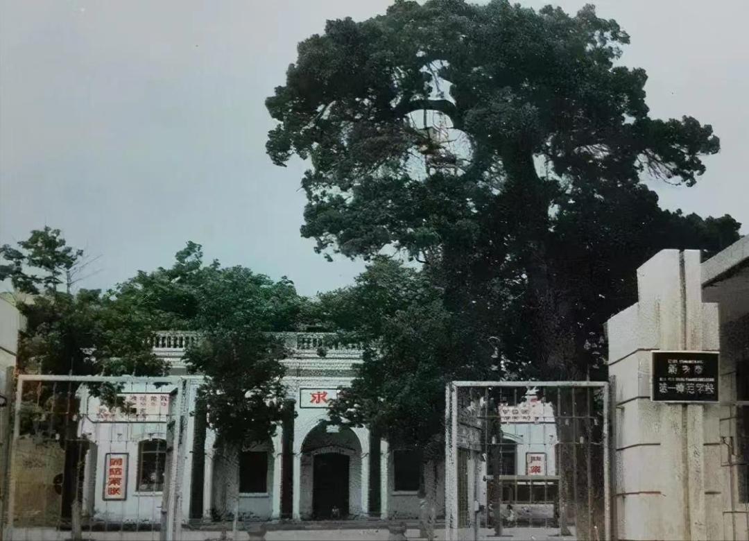 从中师生到登上大学讲坛：当老师好，一辈子平平安安