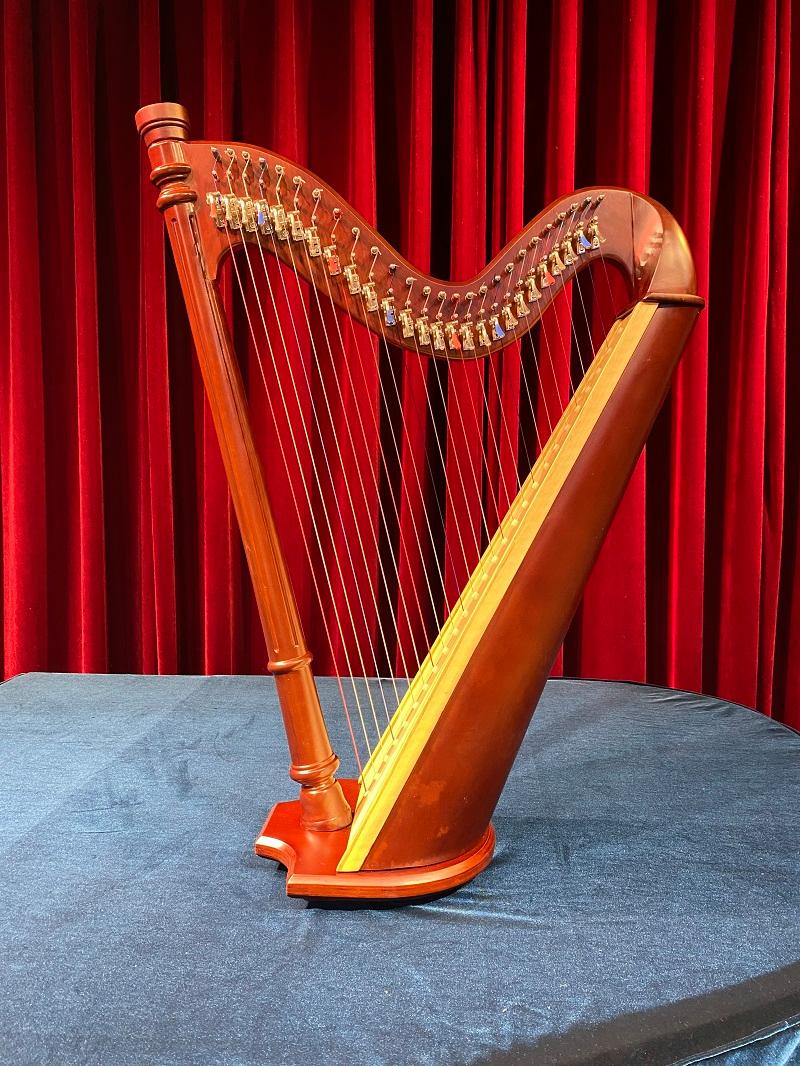 爱尔兰典型的传统乐器是竖琴,爱尔兰古代乐器