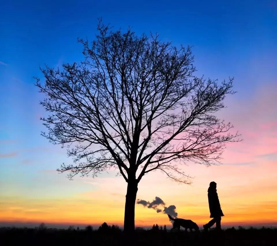 女孩舌战群儒原视频,女子舌战群儒