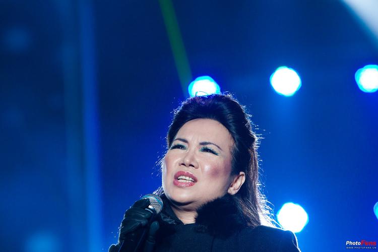 历年全国十大最有名的歌手,中国十大知名度最高的歌手