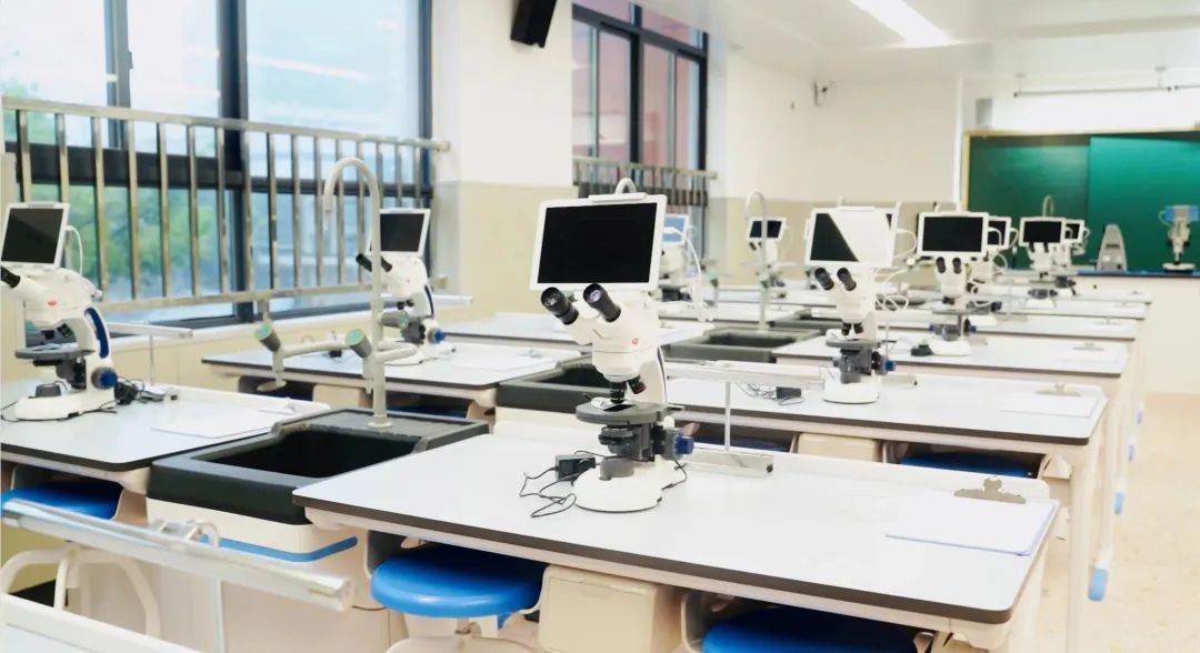 芙蓉“校长说”⑤｜一中芙蓉中学：顺木之天以致其性向善而行