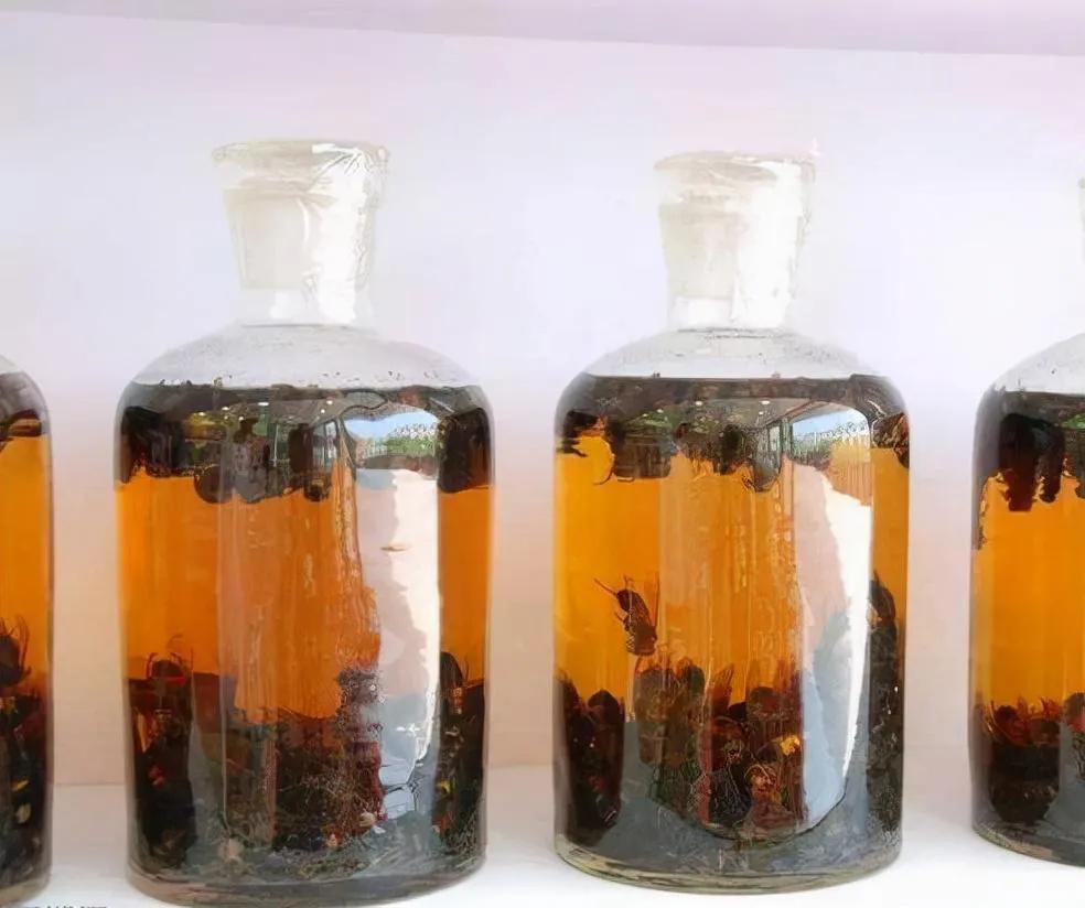 丁香酒有哪些好处,丁香酒什么时候用有效果