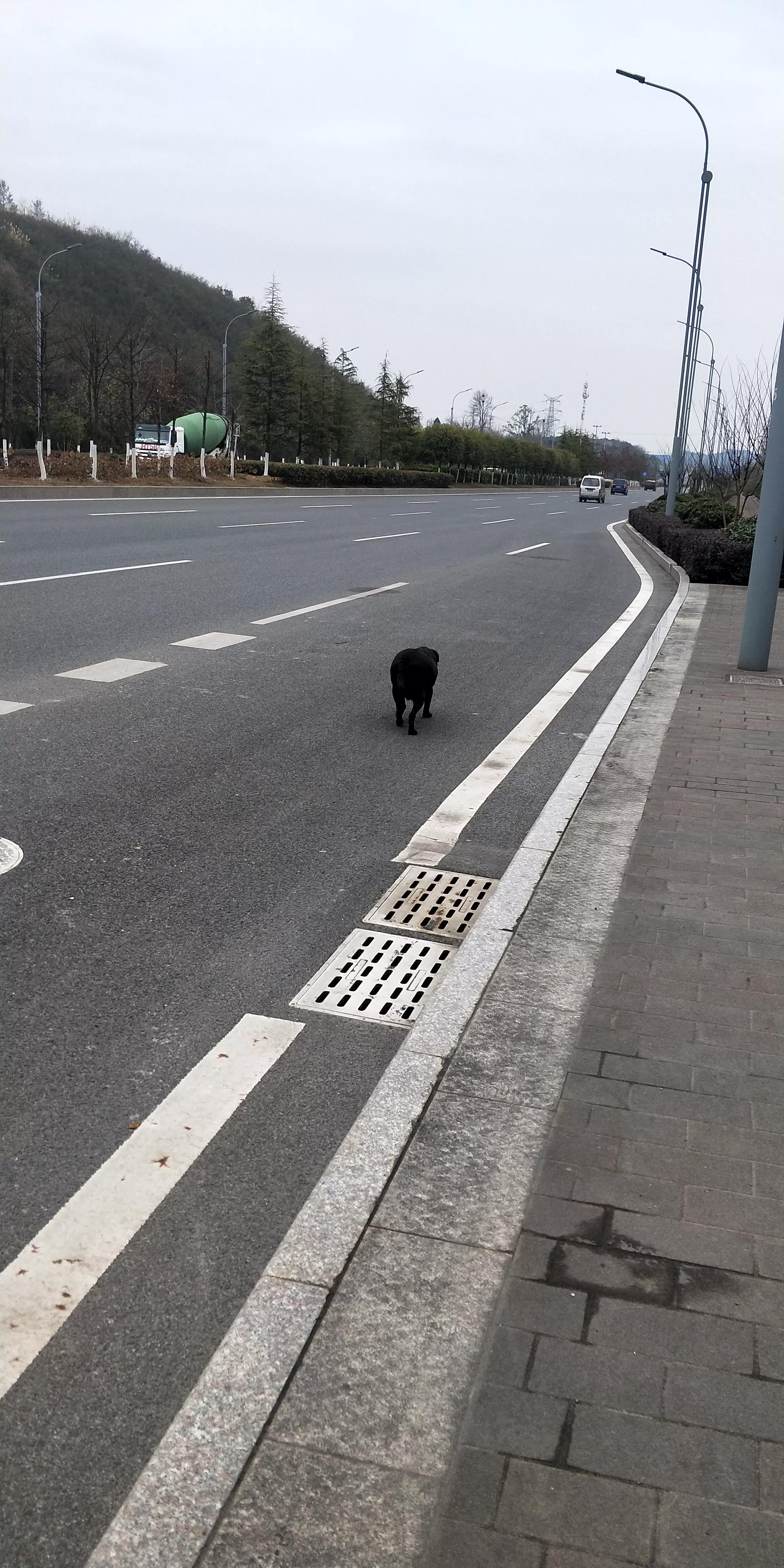 27岁的我迷茫的心情,27岁一事无成很迷茫