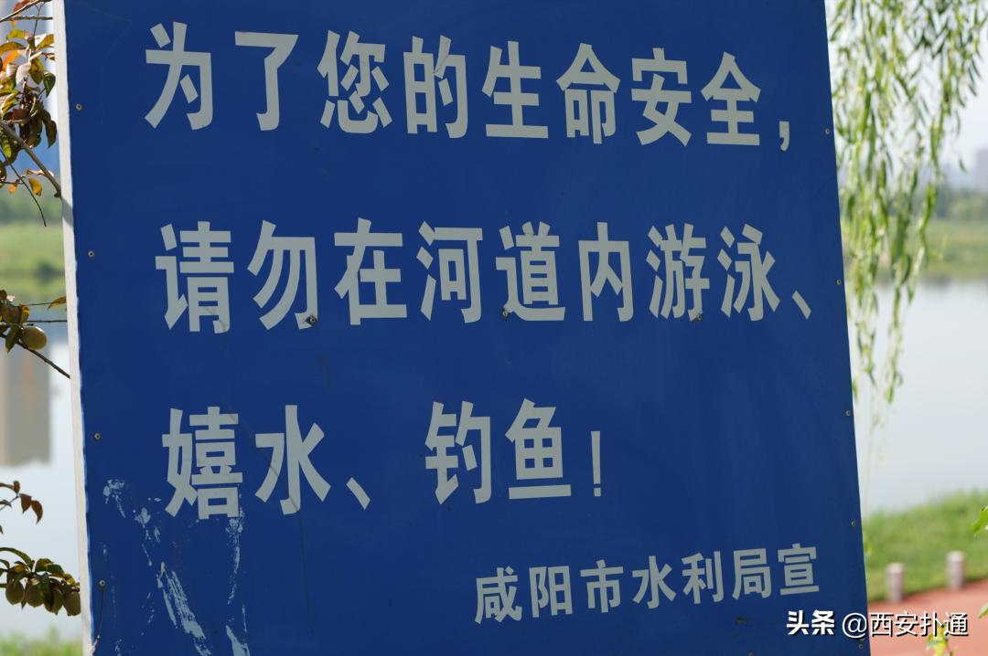 西安最大花海公园,西安周边的自然景观公园