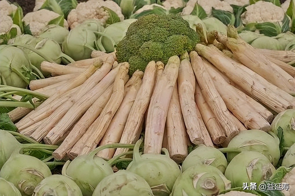 精品白芦笋,春季白芦笋