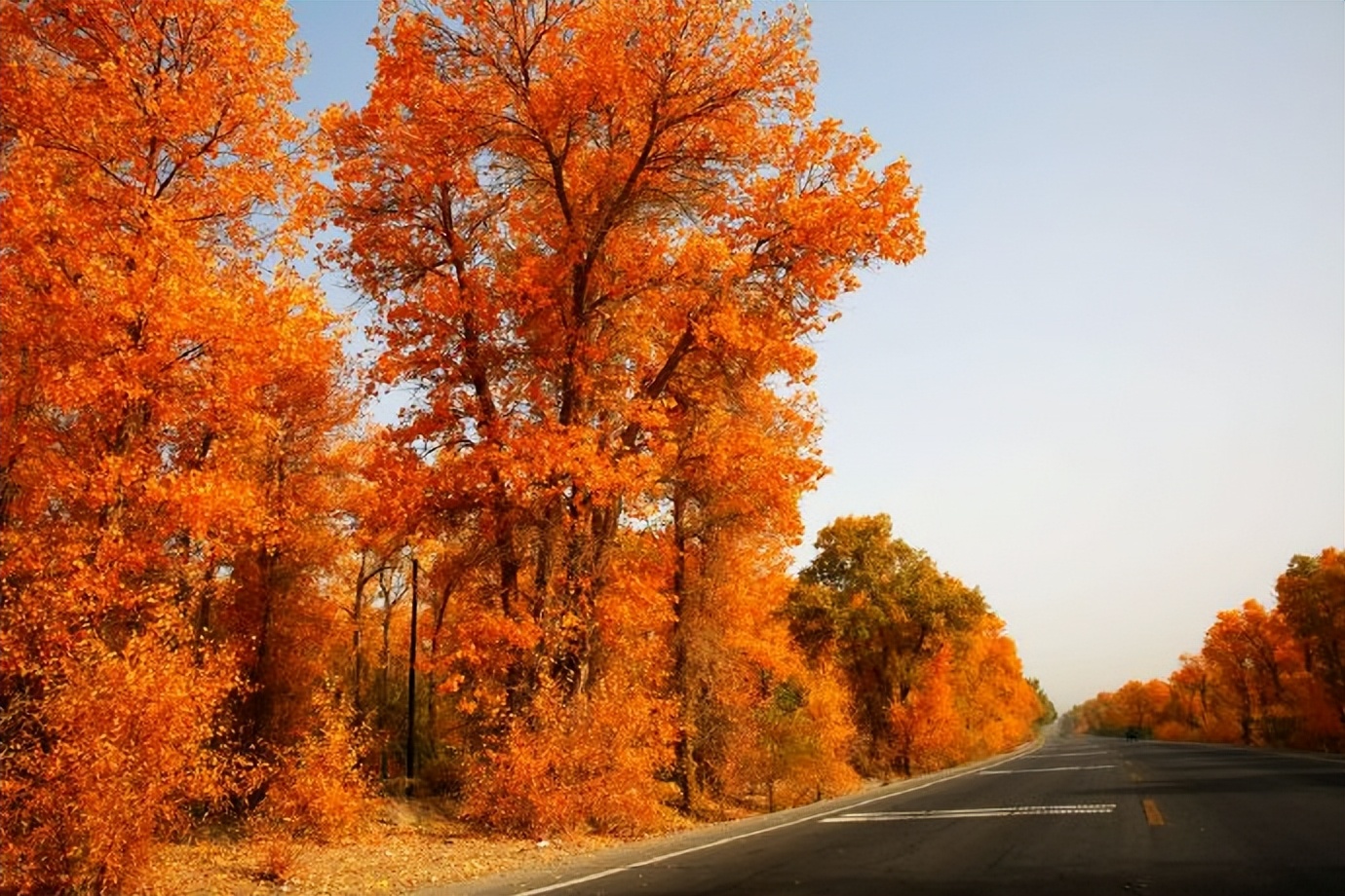 环游新疆15天,环游南疆8天攻略