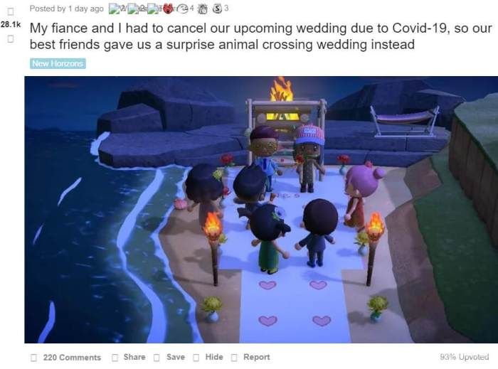 集合啦动物森友会switch,集合啦动物森友会能做生意吗