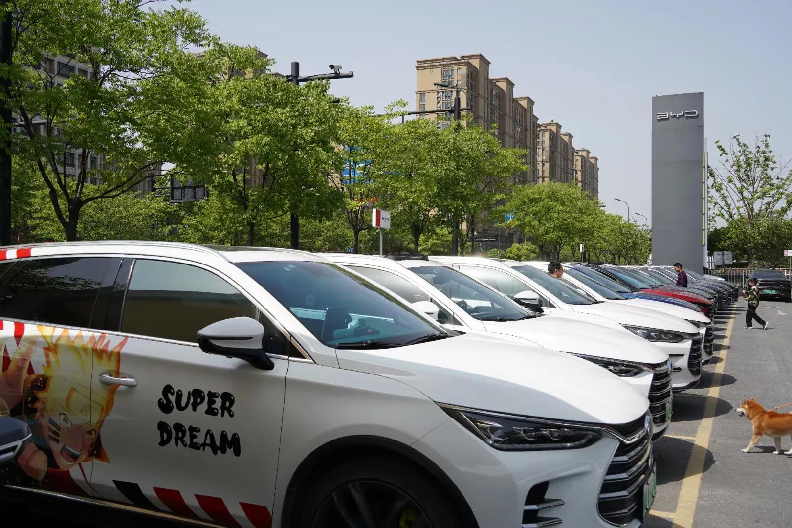 杭迪会·超级奶爸训练营——带娃出去春游啦