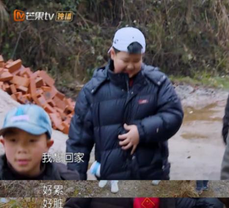 太子爷从小患有暴躁症,太子爷从小就有狂躁症