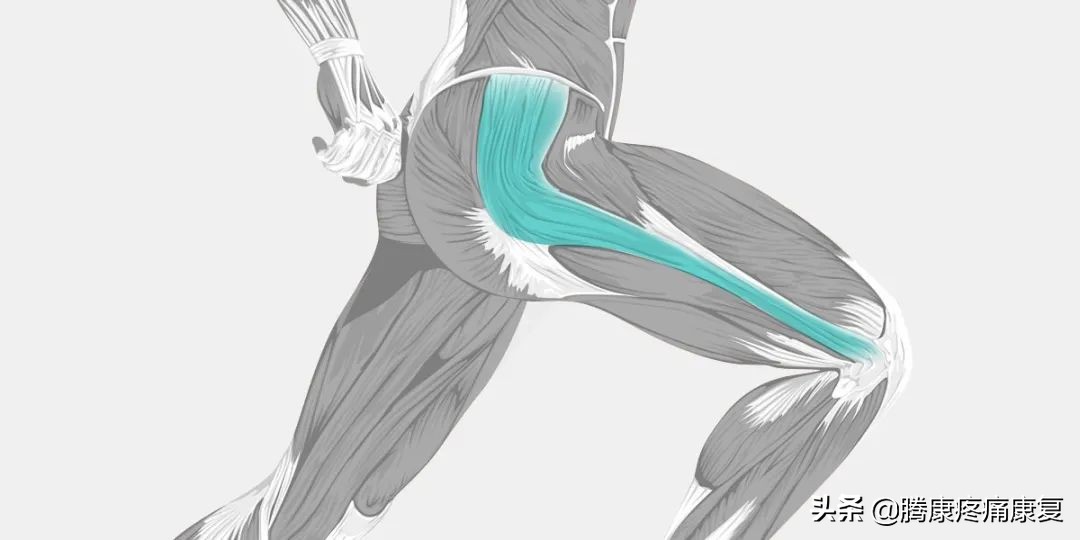 膝关节咔咔响怎么锻炼,膝关节弹响锻炼