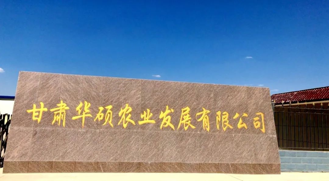 迪斯科品牌大使丨农资后起之秀，筑牢品质堤坝