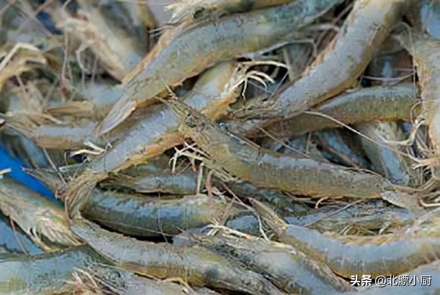 基围虾明虾对虾的区别,白对虾和基围虾的口味区别