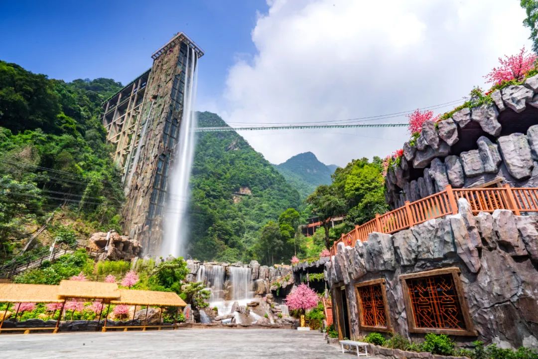 letsgo一周目图文攻略,letsgo图鉴攻略