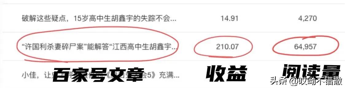 一篇文章收益达到100,一篇文章收益28000元