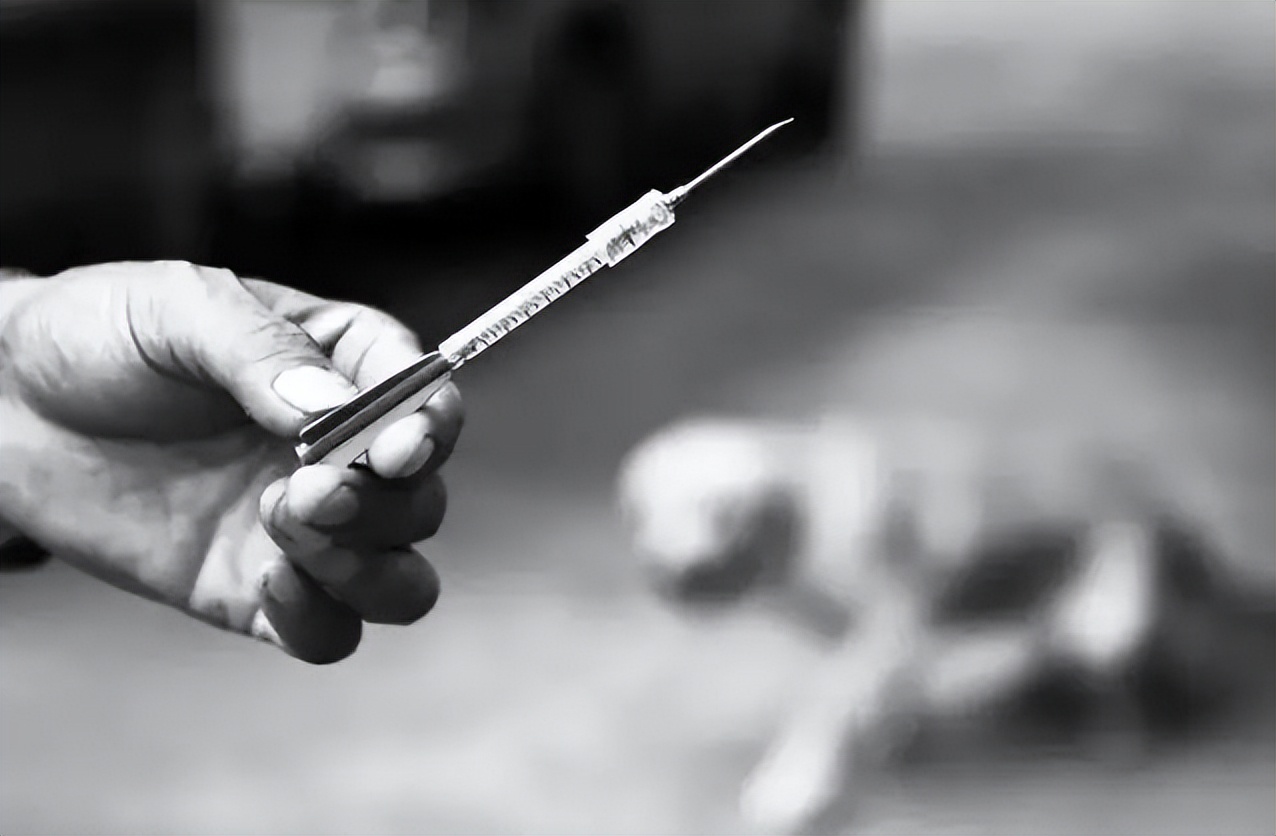 狗被喷了毒药,狗被喷毒药倒地