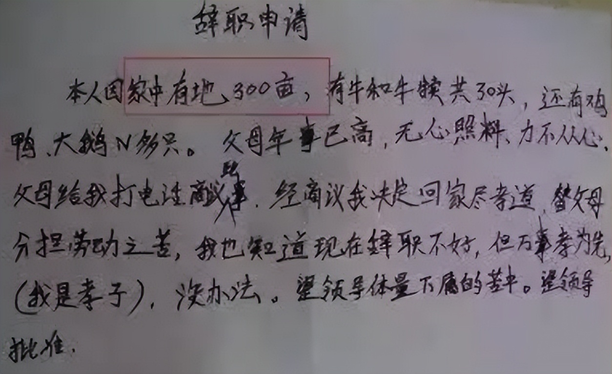 女教师因一封信辞职信意外走红,年轻女教师低情商辞职信走红