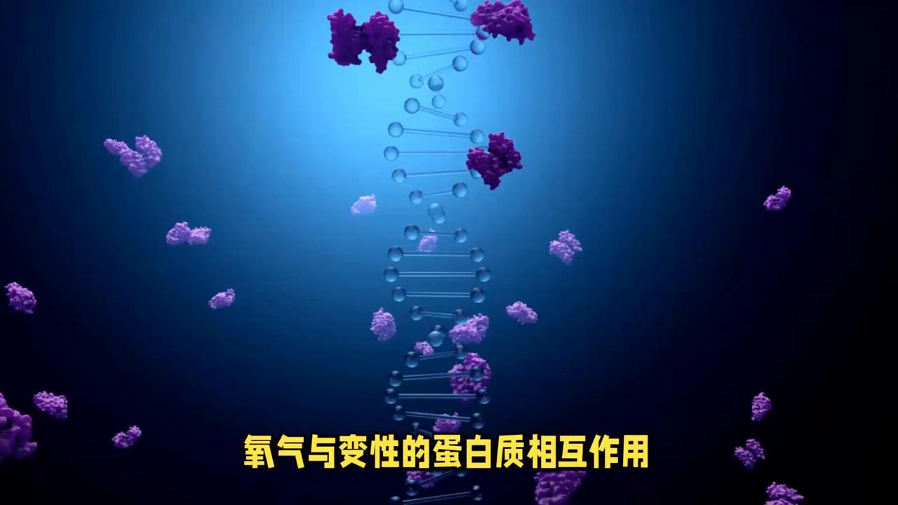 天天食安行——蛋白质在干燥过程中的变性机理#天天食安行