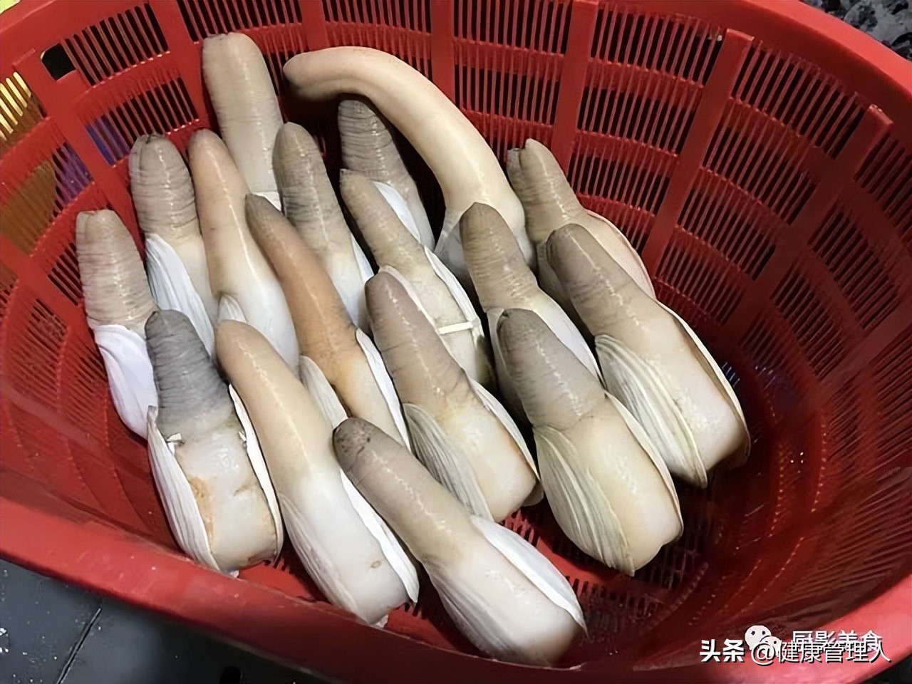 海鲜贝类品种大全及名字,22种海鲜贝类做法大全